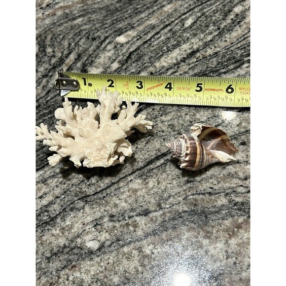 Natural White Sea Coral 4” & Purple Conch 3” Nautical Beach House Fish Tank - Picture 2 of 4